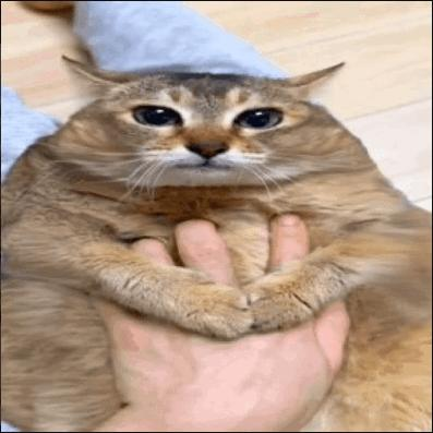ulybaka1337